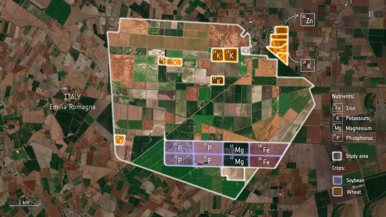 Measuring Diet In Crops From Area